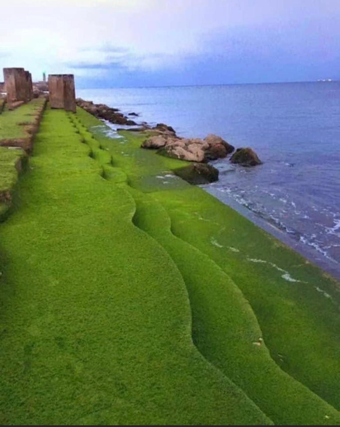 Dias De Ensueno En Castro Urdiales 아파트 외부 사진